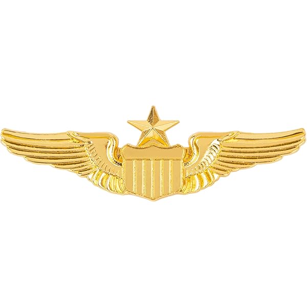 Amazon.co.jp: USN US NAVY パイロット アビエイター アビエーション